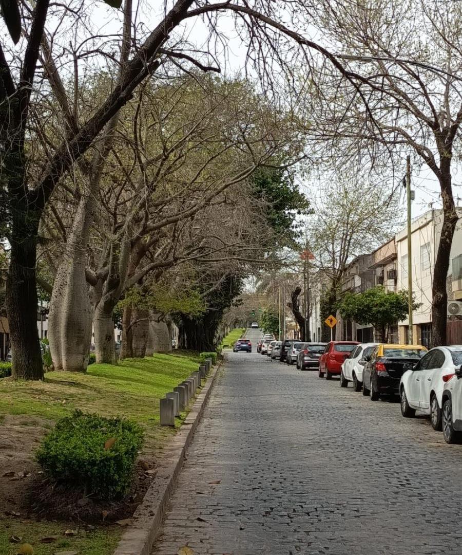 Foto de PH 3 AMBIENTES 2 patios, 1 balcon en venta en Parque Avellaneda, imagen 2