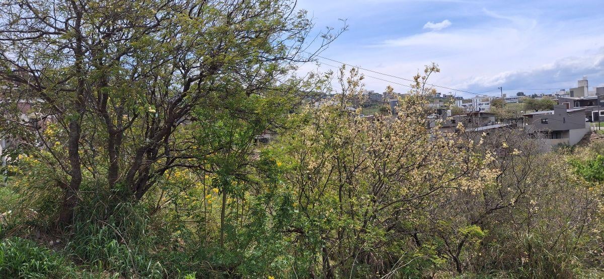 Foto de Terreno en venta B° Cuesta Colorada – La Calera - Córdoba -, imagen 3