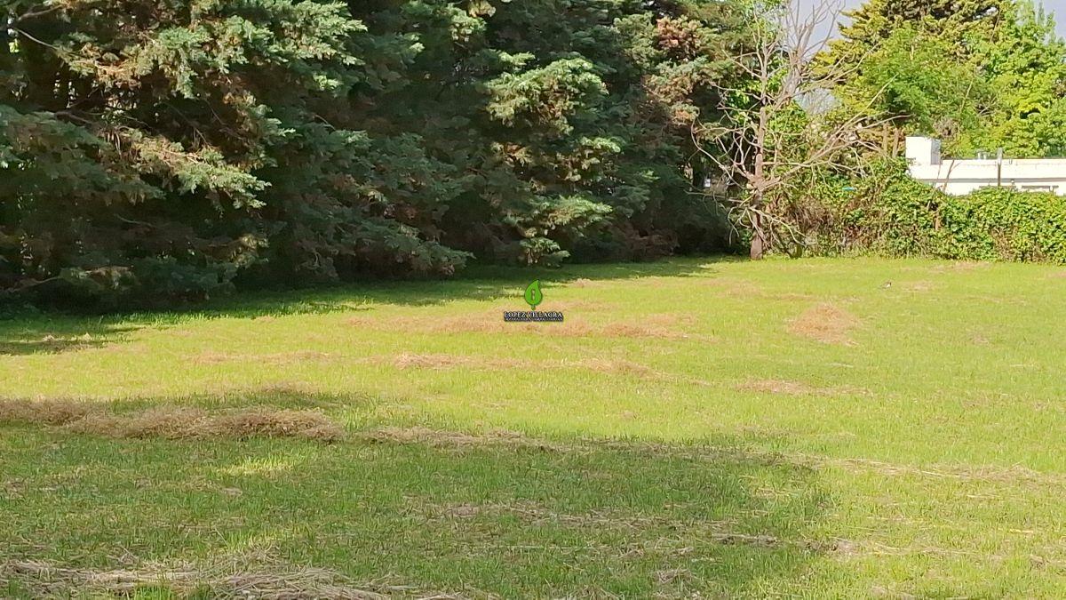 Foto de LOTE EN VENTA EN B° Cerrado LA HERRADURA – VILLA ALLENDE - Córdoba -, imagen 4