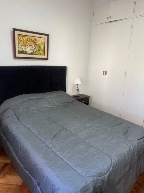 Departamento  en Alquiler en Recoleta, Capital Federal, Buenos Aires 5