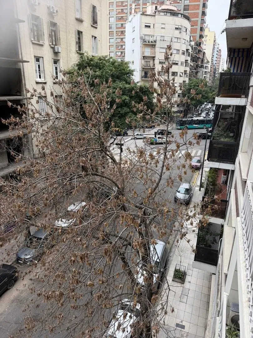 Departamento en Alquiler en Barrio Norte, Capital Federal, Buenos Aires 3