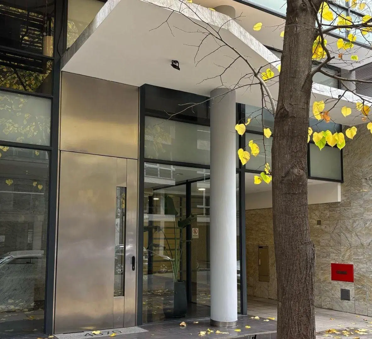Planta en Alquiler Apto Profesional Consultorio u Oficina Comercial 3
