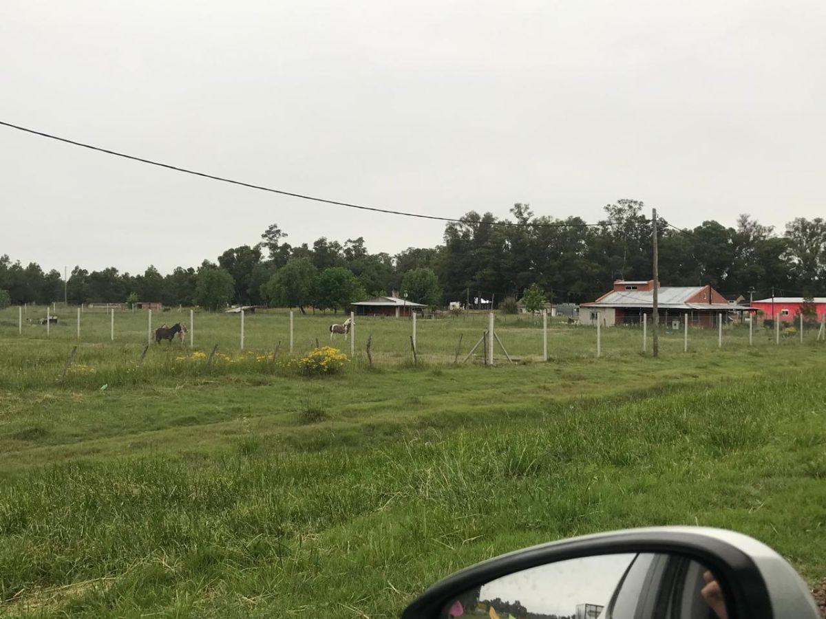 Foto de Terreno de 5000 m² en venta en Cañuelas SOBRE RUTA 3, imagen 1