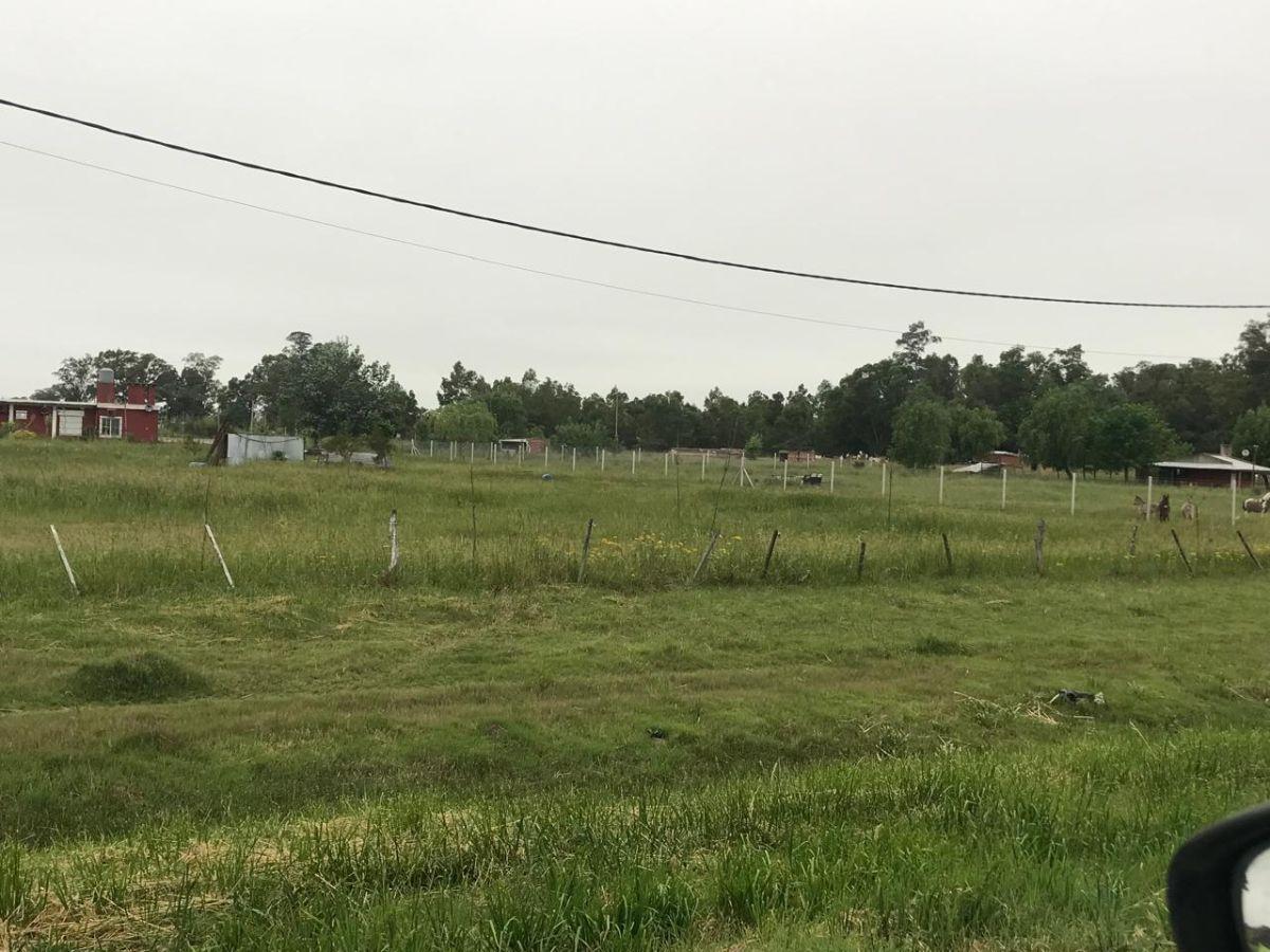 Foto de Terreno de 5000 m² en venta en Cañuelas SOBRE RUTA 3, imagen 3