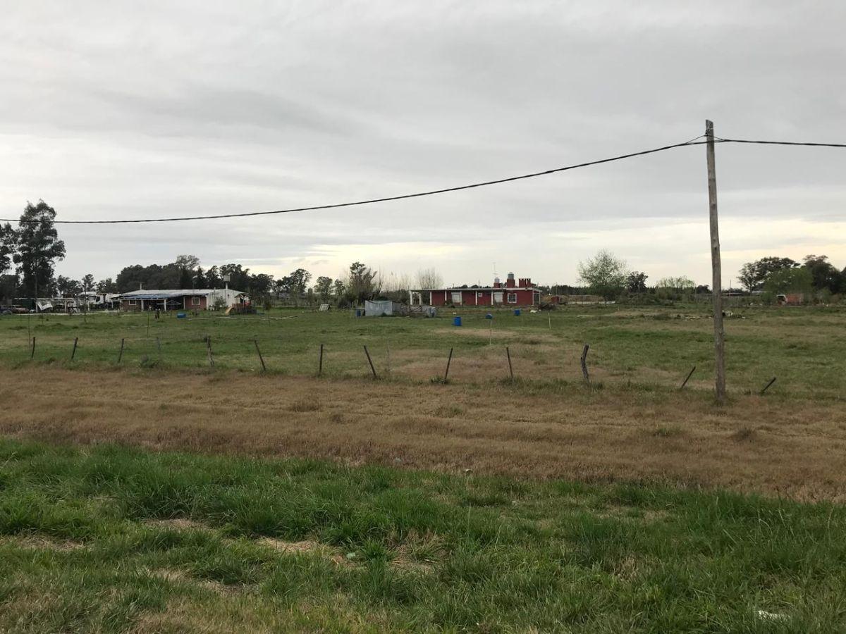Foto de Terreno de 5000 m² en venta en Cañuelas SOBRE RUTA 3, imagen 5