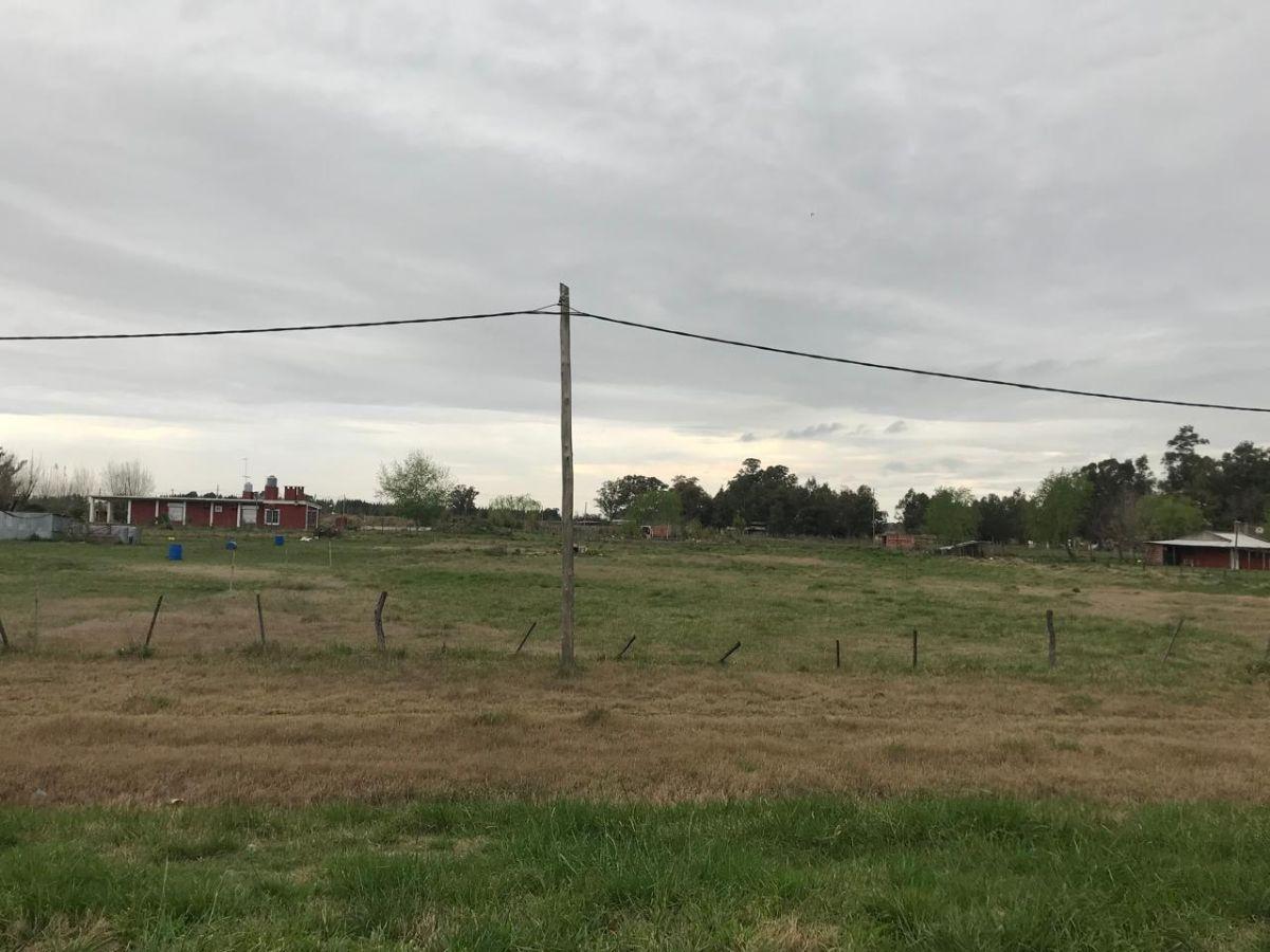 Foto de Terreno de 5000 m² en venta en Cañuelas SOBRE RUTA 3, imagen 2
