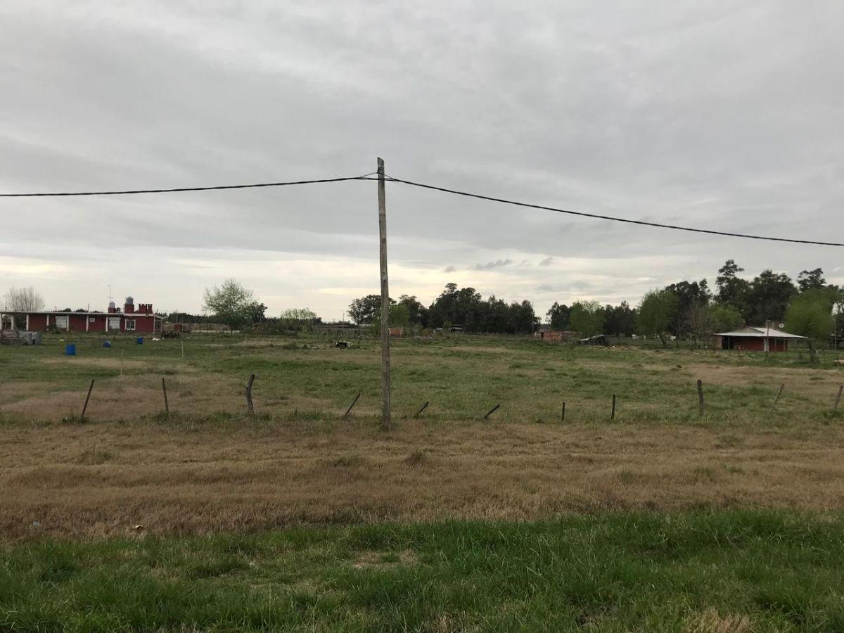Foto de Terreno de 5000 m² en venta en Cañuelas SOBRE RUTA 3, imagen 4