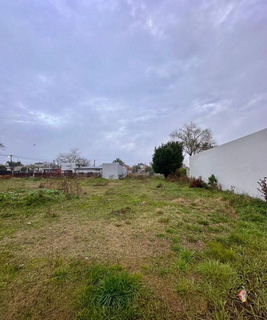 Foto de TERRENOS EN CAÑUELAS CENTRO, imagen 3