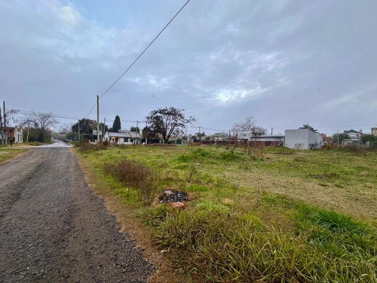 Foto de TERRENOS EN CAÑUELAS CENTRO, imagen 4