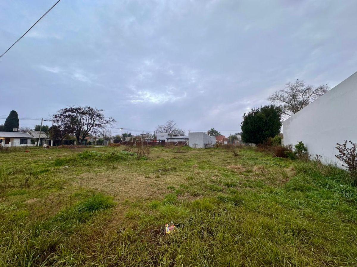 Foto de TERRENOS EN CAÑUELAS CENTRO, imagen 1