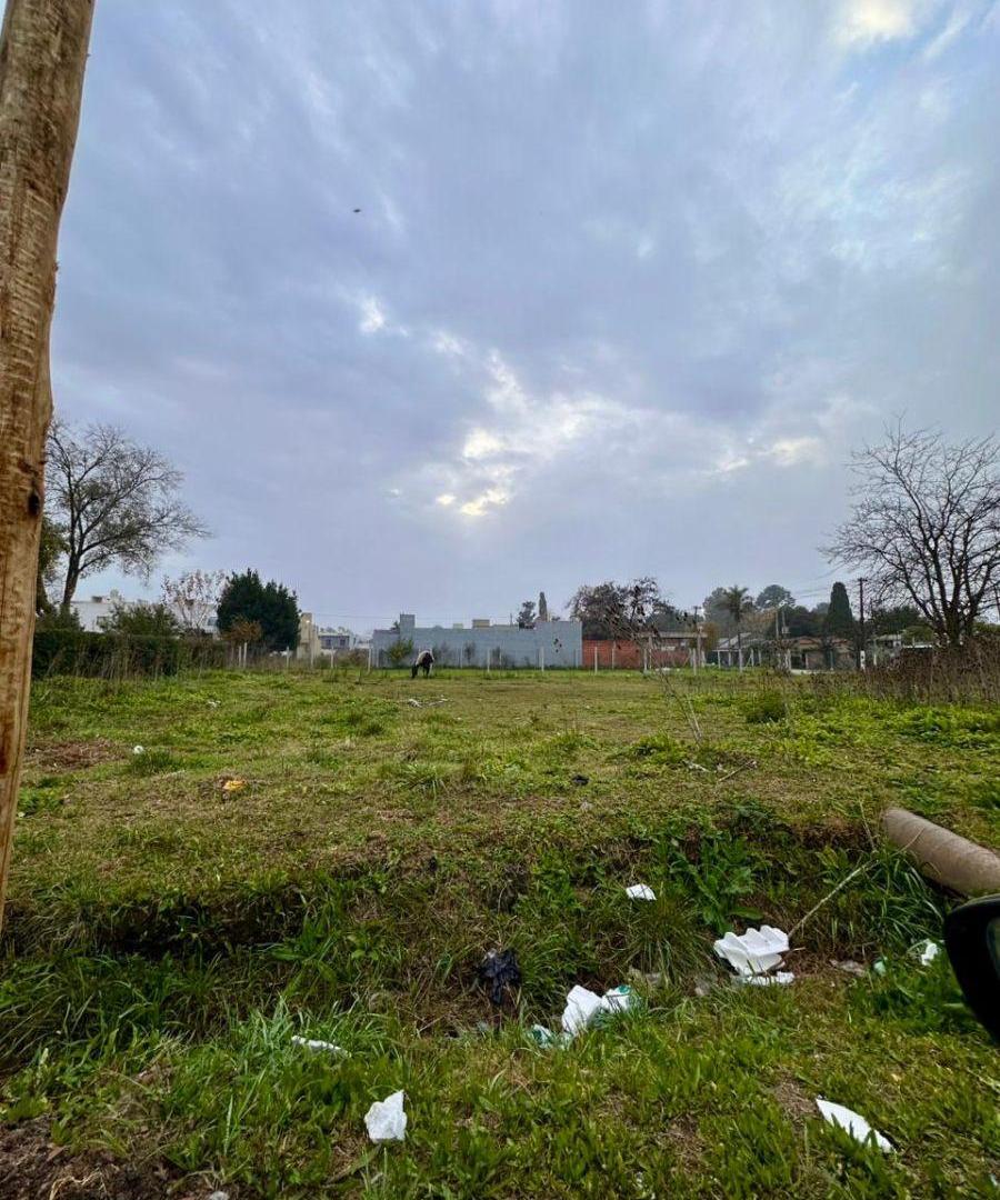 Foto de TERRENOS EN CAÑUELAS CENTRO, imagen 5