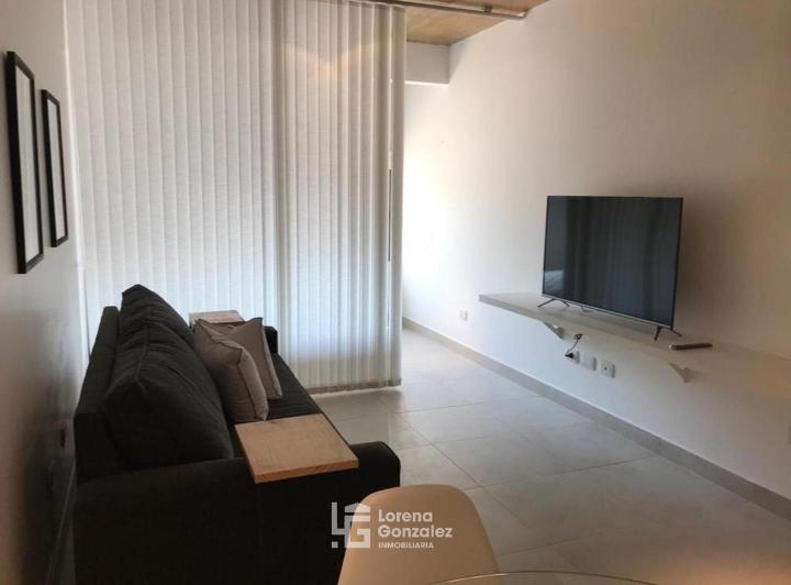 Foto de Departamento Amoblado Escobar, imagen 1