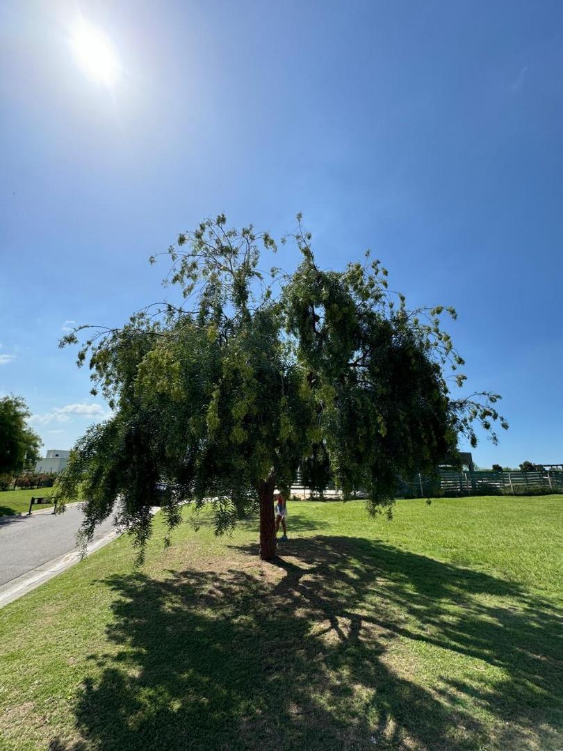 Lote en Venta San Sebastian Loma Verde