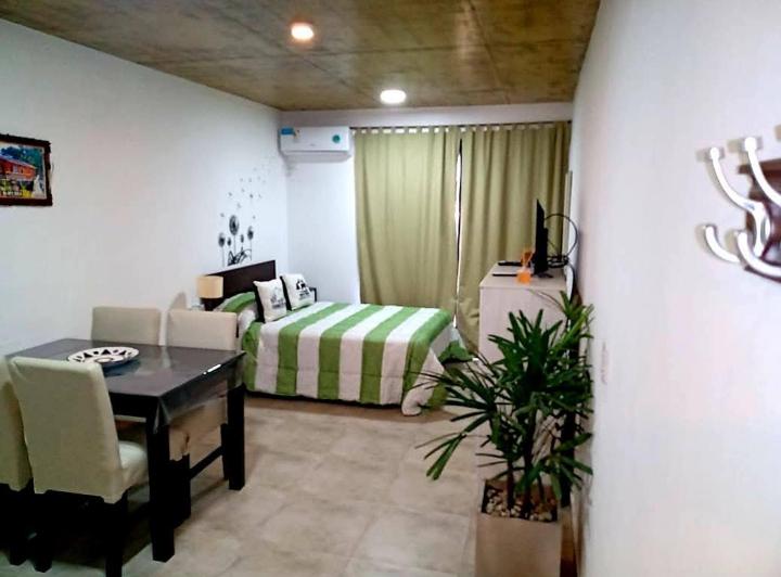 DEPARTAMENTO EN ALQUILER AMOBLADO 1