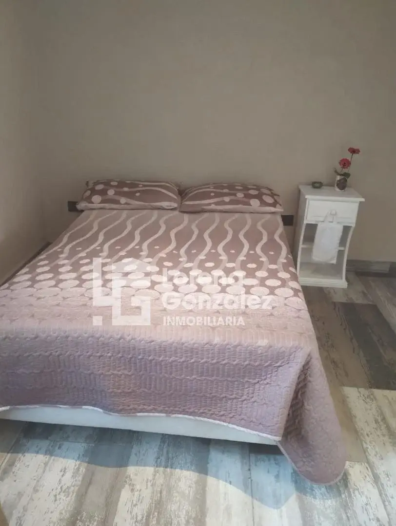DEPARTAMENTO EN ALQUILER AMOBLADO 3