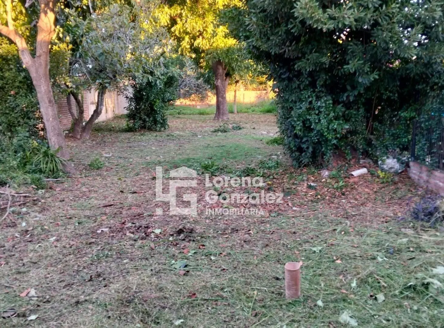 Lote en venta con dos locales. Escobar 4