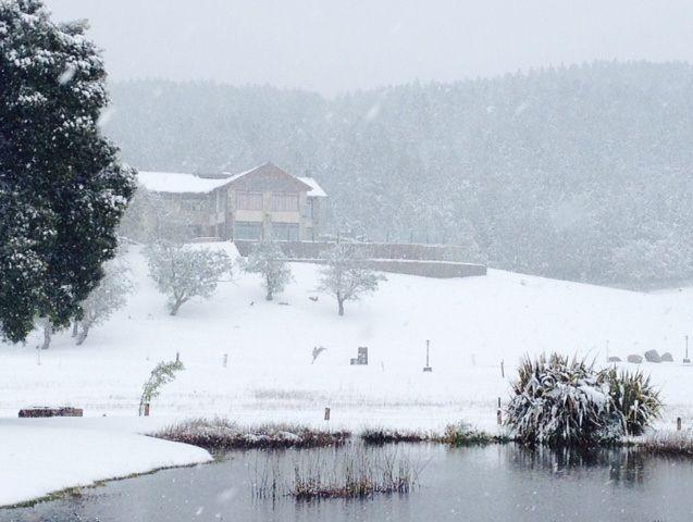 Venta Club House en Los Ñires, San Martín de Los Andes 3