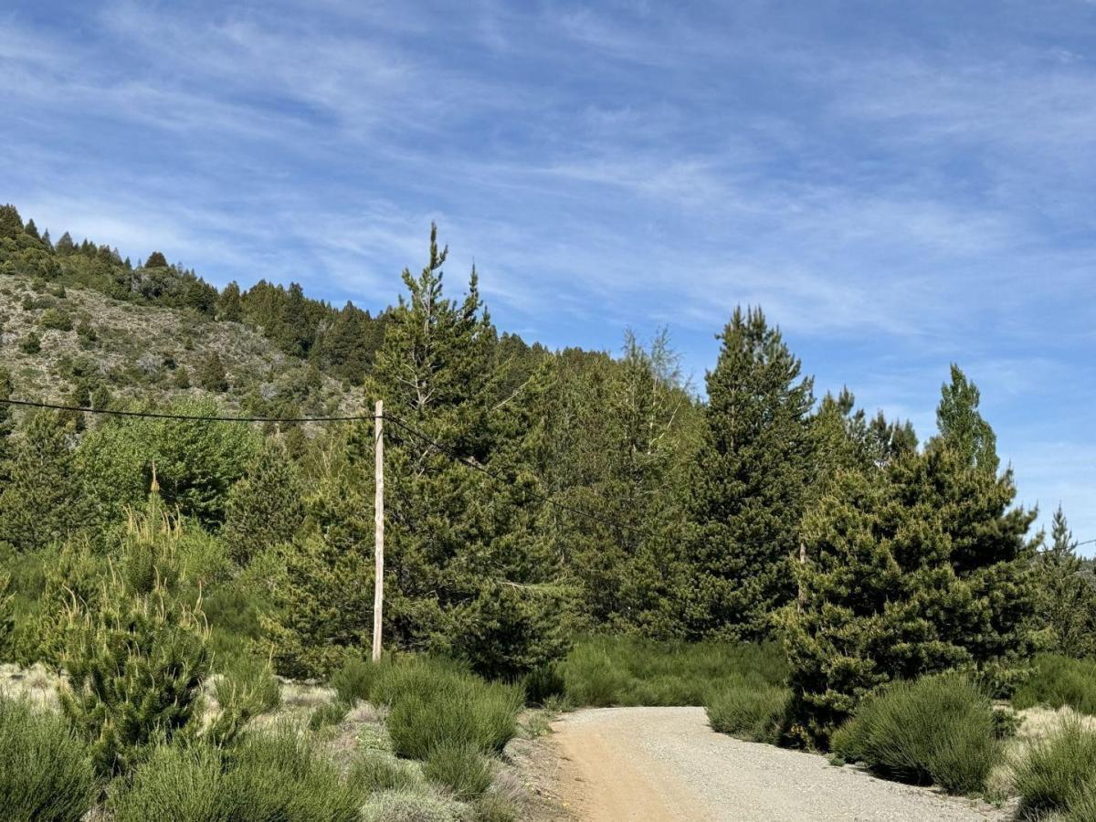 Foto de Venta lote 2.500 m2 en Quilquihue, Lago Lolog, San Martin de Los Andes, imagen 2