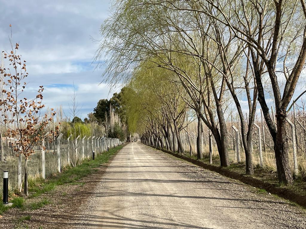 Lote en venta barrio Las Patricias, General Roca, Río Negro