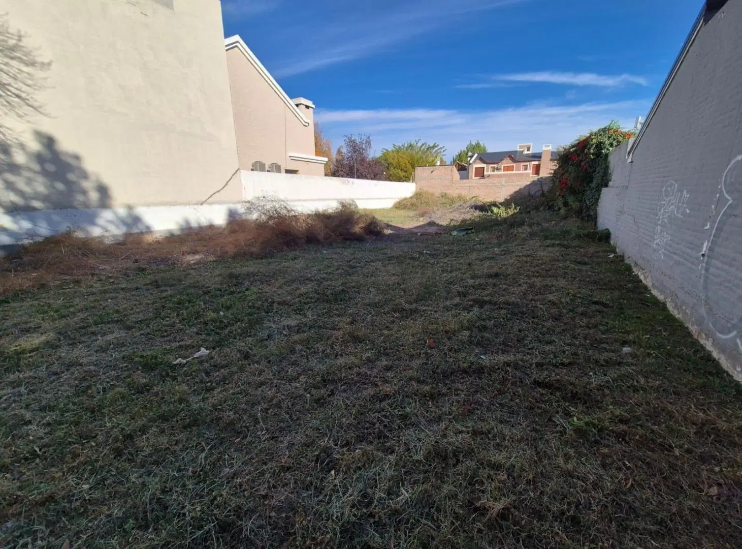 Terreno en venta, centro General Roca 5