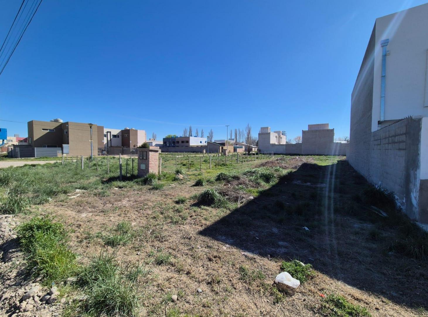 Foto de Lote en VENTA en Stefenelli, General Roca, Río Negro, imagen 4