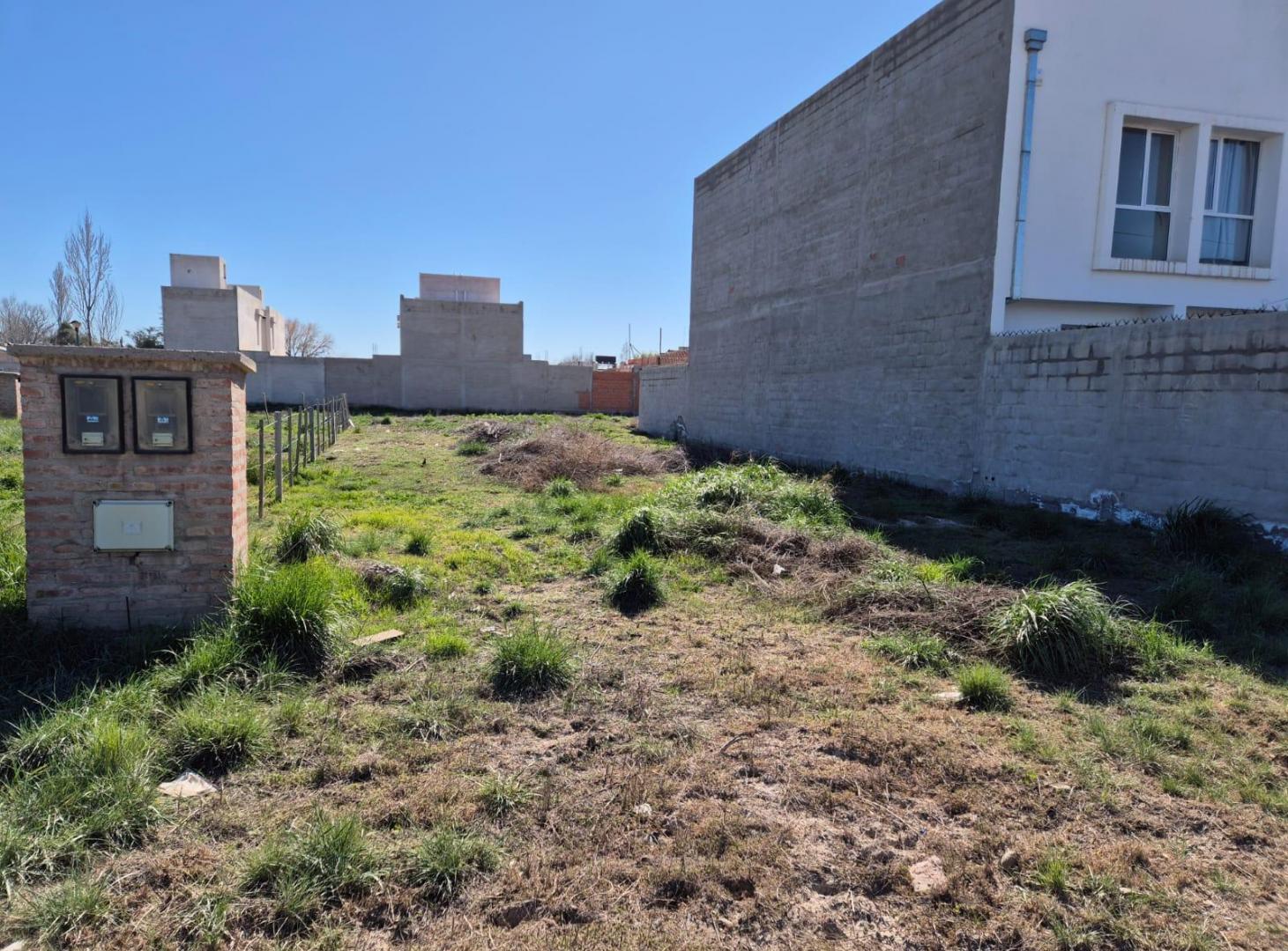 Foto de Lote en VENTA en Stefenelli, General Roca, Río Negro, imagen 3