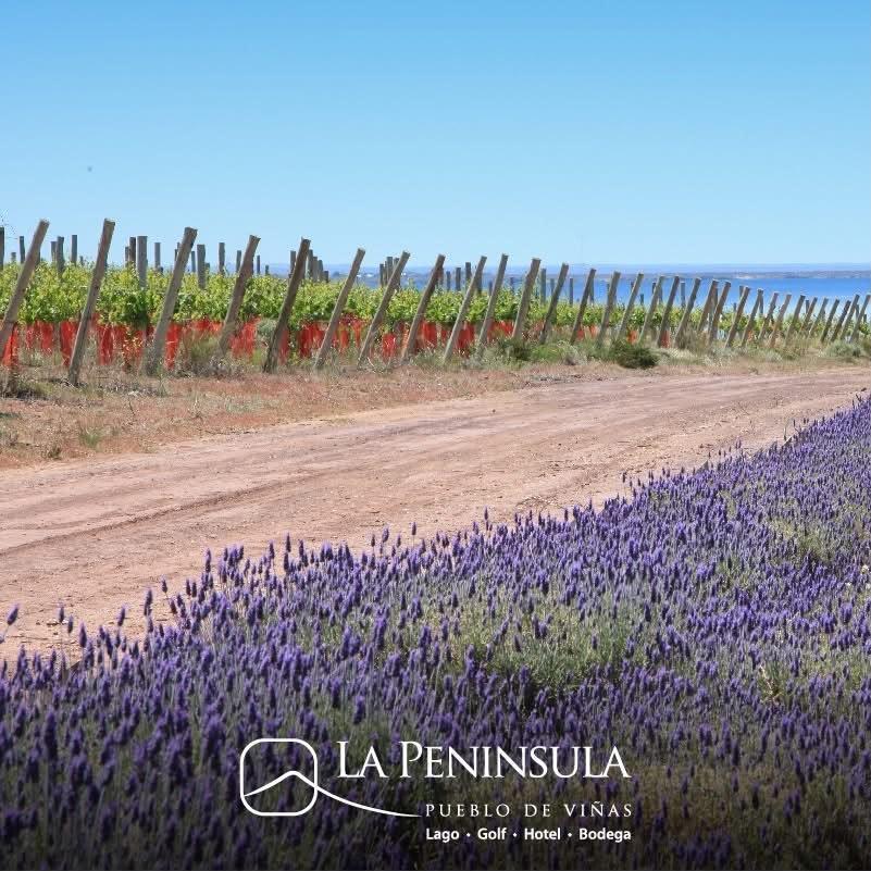 Foto de Venta lotes en Bº Privado La Peninsula, Mari Menuco, Neuquen, imagen 5
