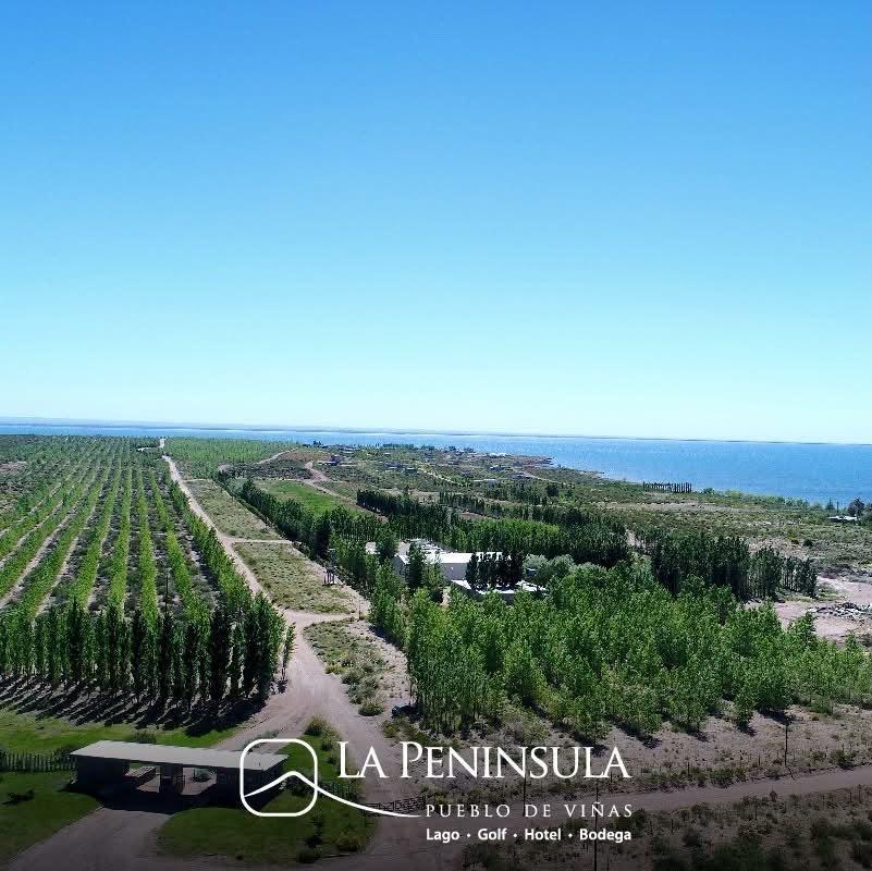 Foto de Venta lotes en Bº Privado La Peninsula, Mari Menuco, Neuquen, imagen 4