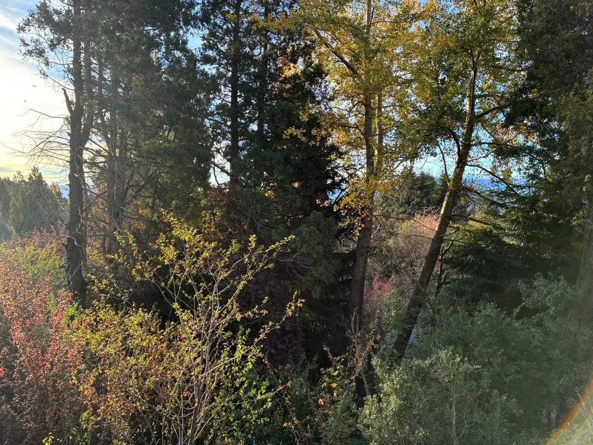 Venta de lote en PH con vista al lago 5
