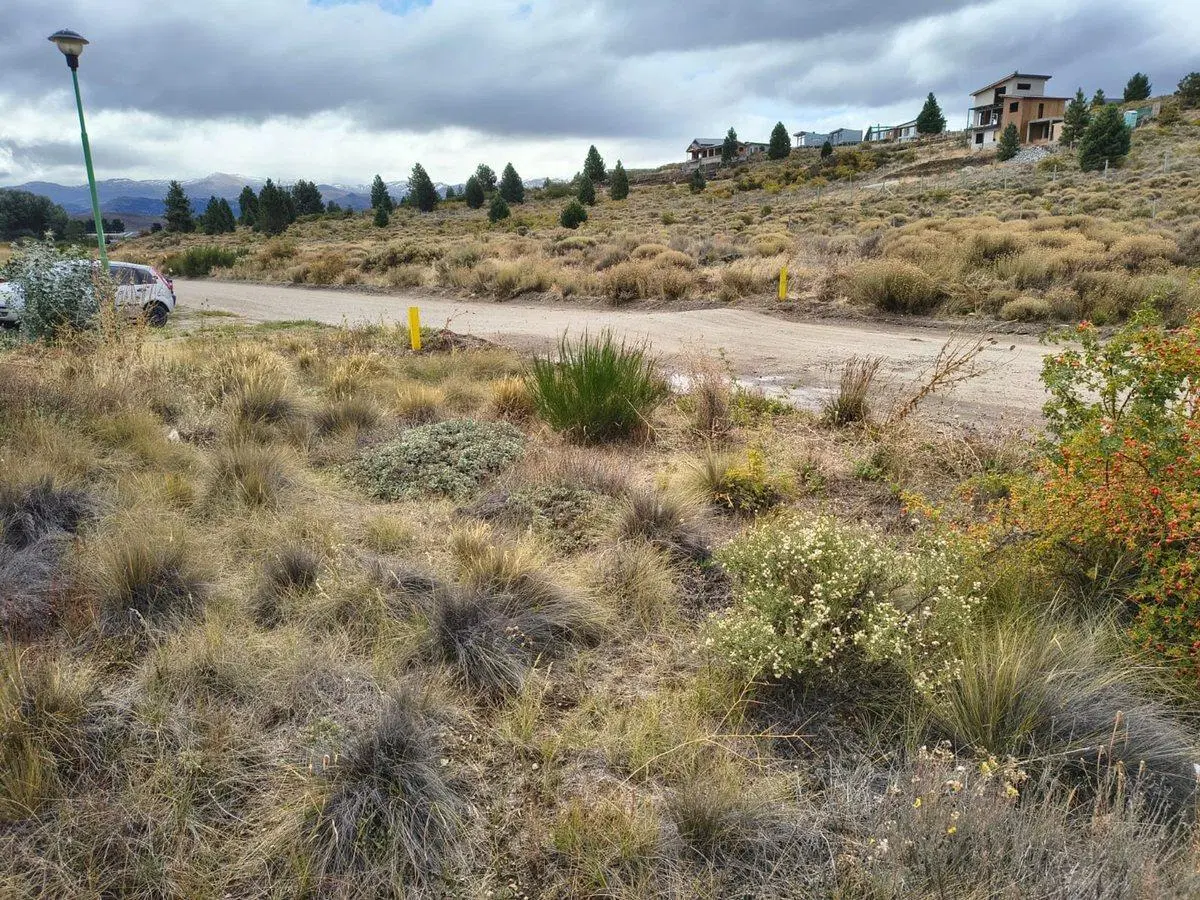 EXCELENTE LOTE EN DINA HUAPI-838 M2 3