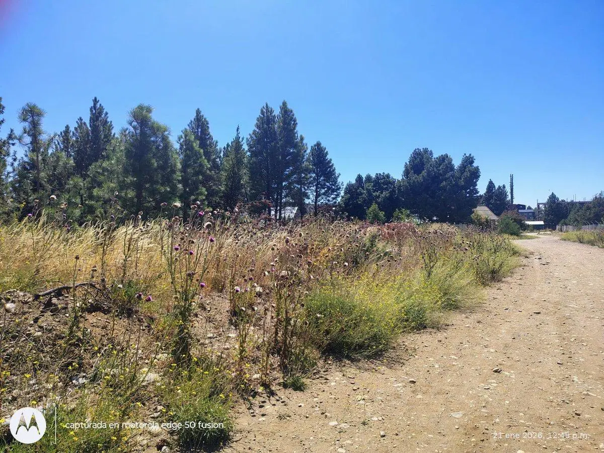 Lote Terreno Barrio El Condor 3