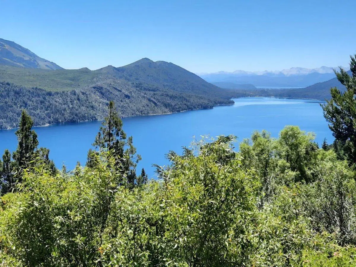 Campo Venta 57 Ha - Villa Atalaya Lago Gutierrez 3
