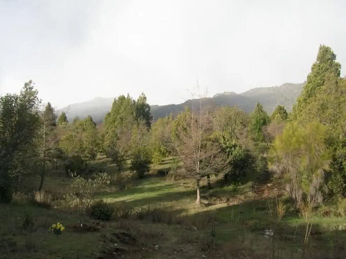 Chacra en Mallín Ahogado 4