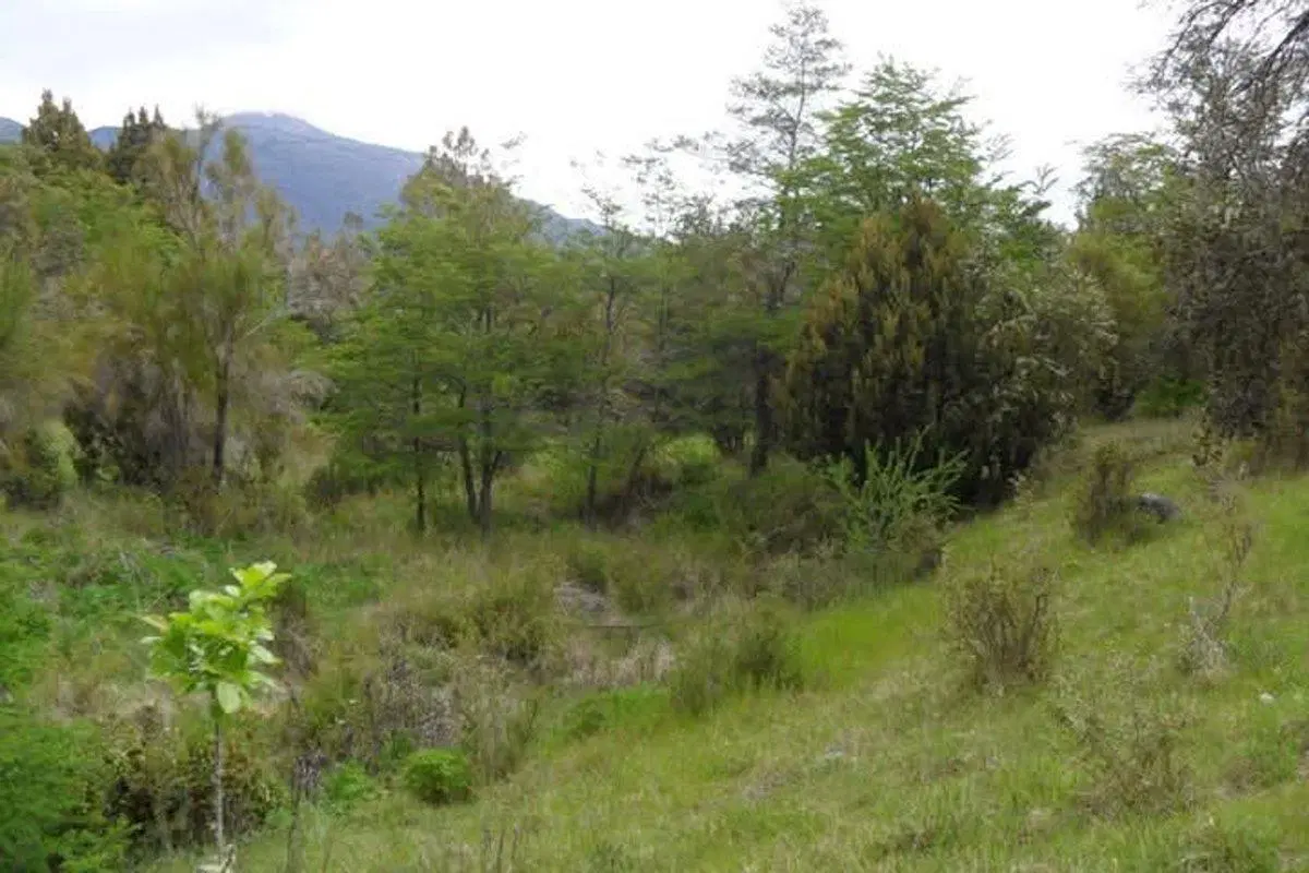 Chacra en Mallín Ahogado 3