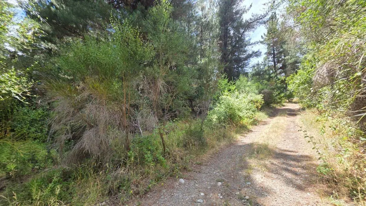 FRACCIÓN TERRENO EN MALLIN AHOGADO CON BOSQUE 2