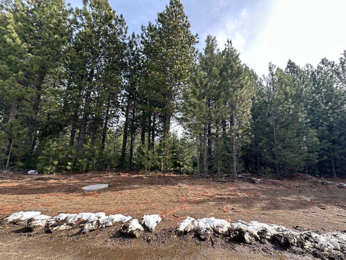 VENTA LOTE DOS VALLES FONDO VERDE BARILOCHE