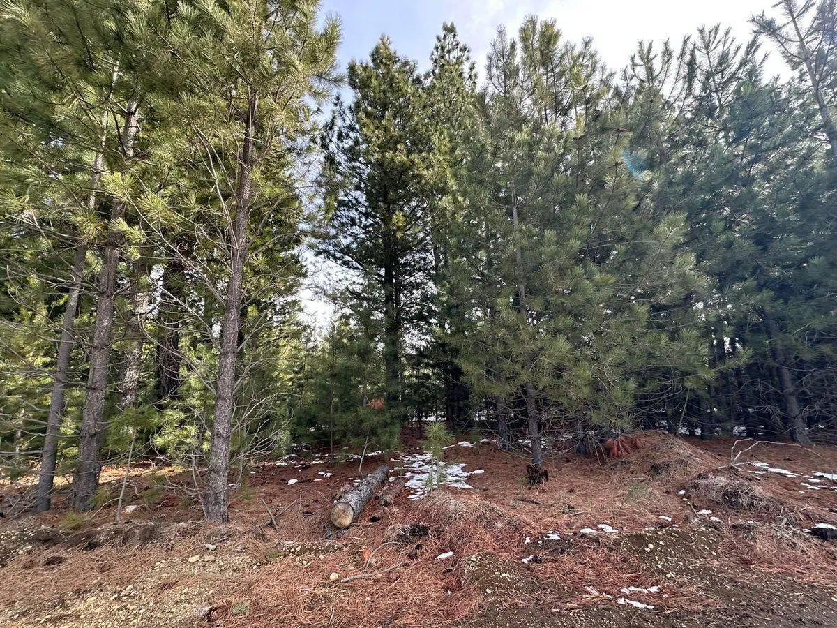 VENTA LOTE DOS VALLES FONDO VERDE BARILOCHE 2