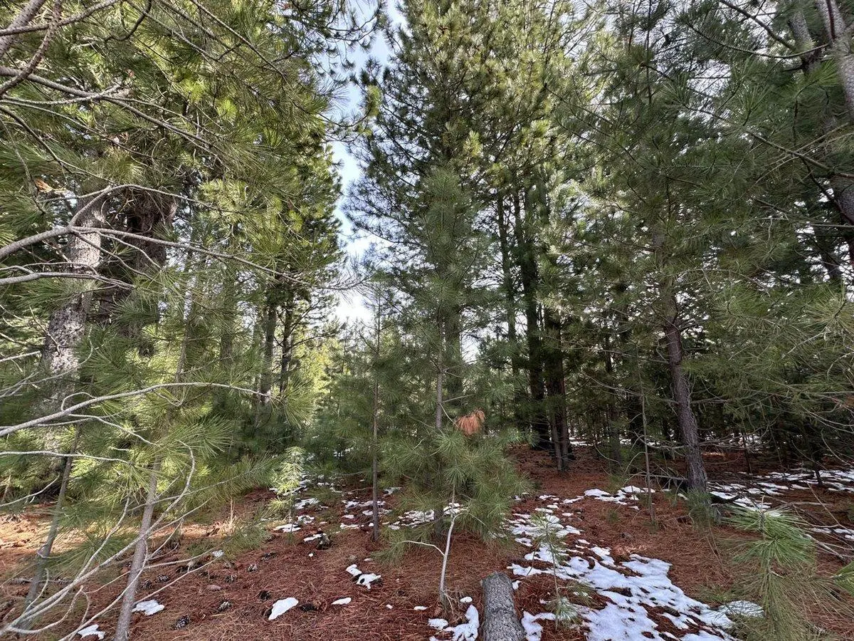 VENTA LOTE DOS VALLES FONDO VERDE BARILOCHE 5