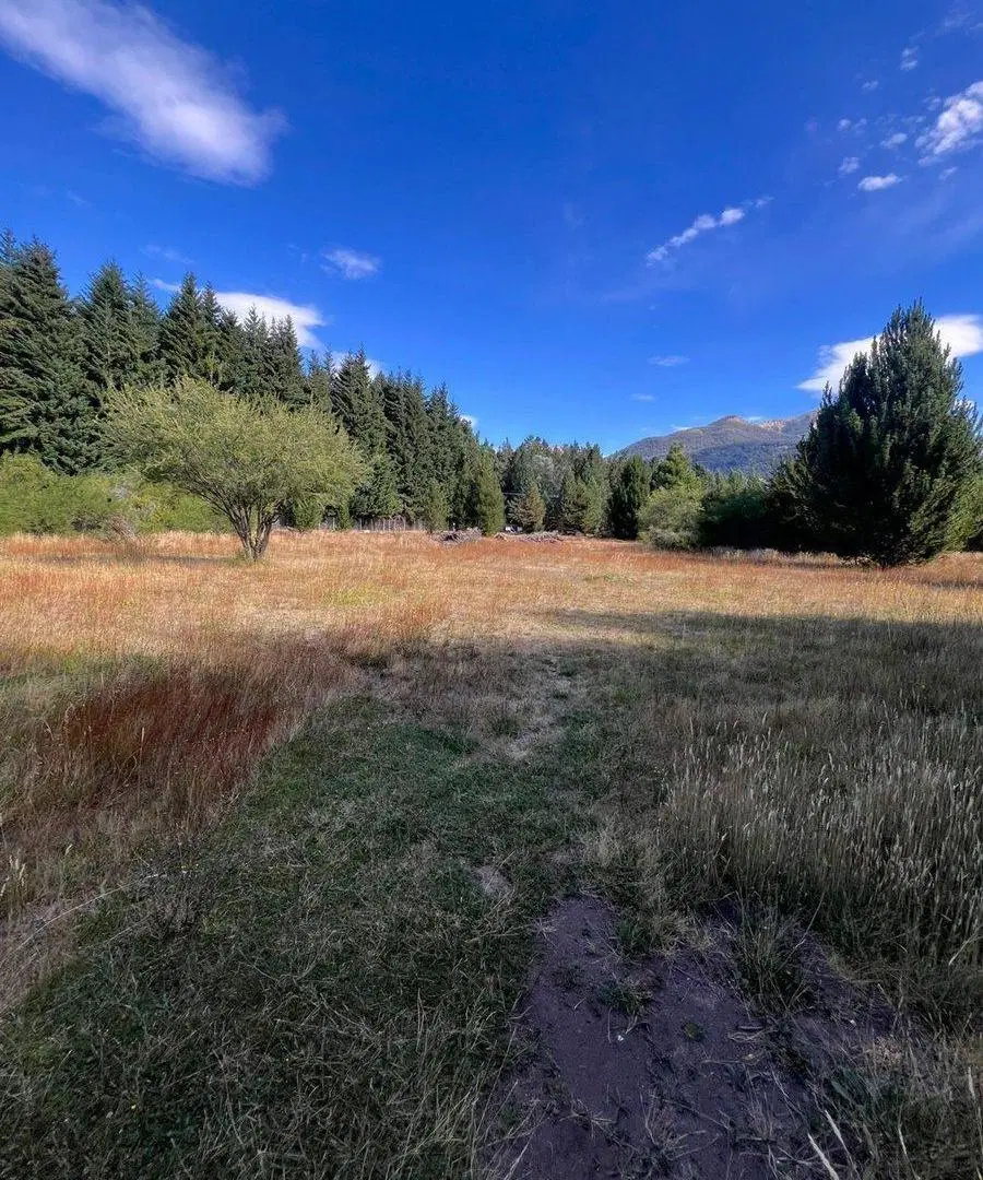 AMPLIO LOTE EN EL OESTE DE BARILOCHE 2