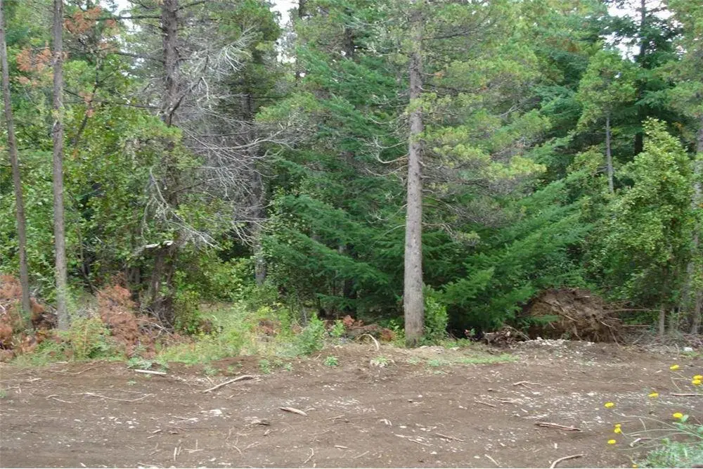 Terreno en Mallin Ahogado, el Bolson, se vende 3