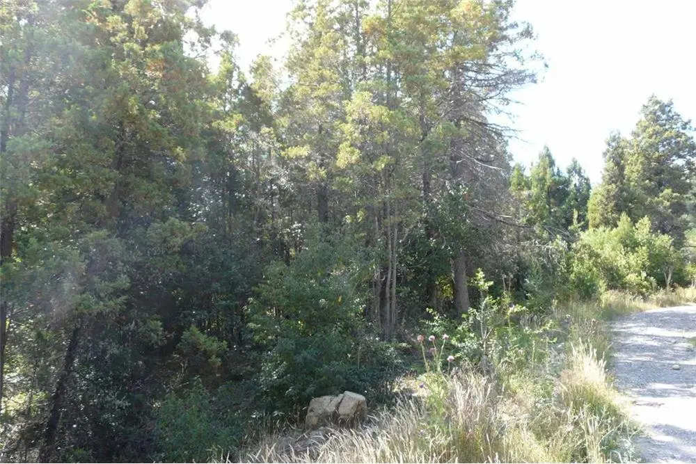 Terreno en Mallin Ahogado, el Bolson, se vende 5