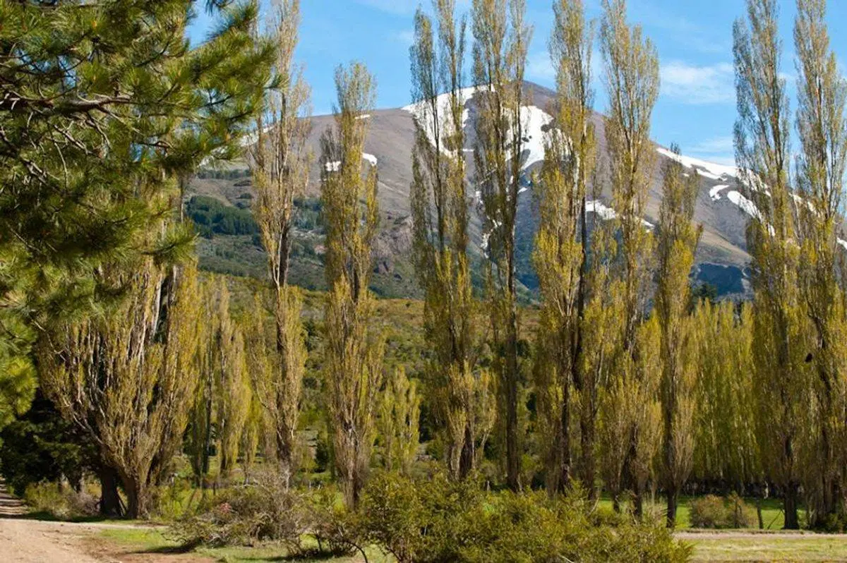 TERRENO EN DOS VALLES - FINANCIADO 2