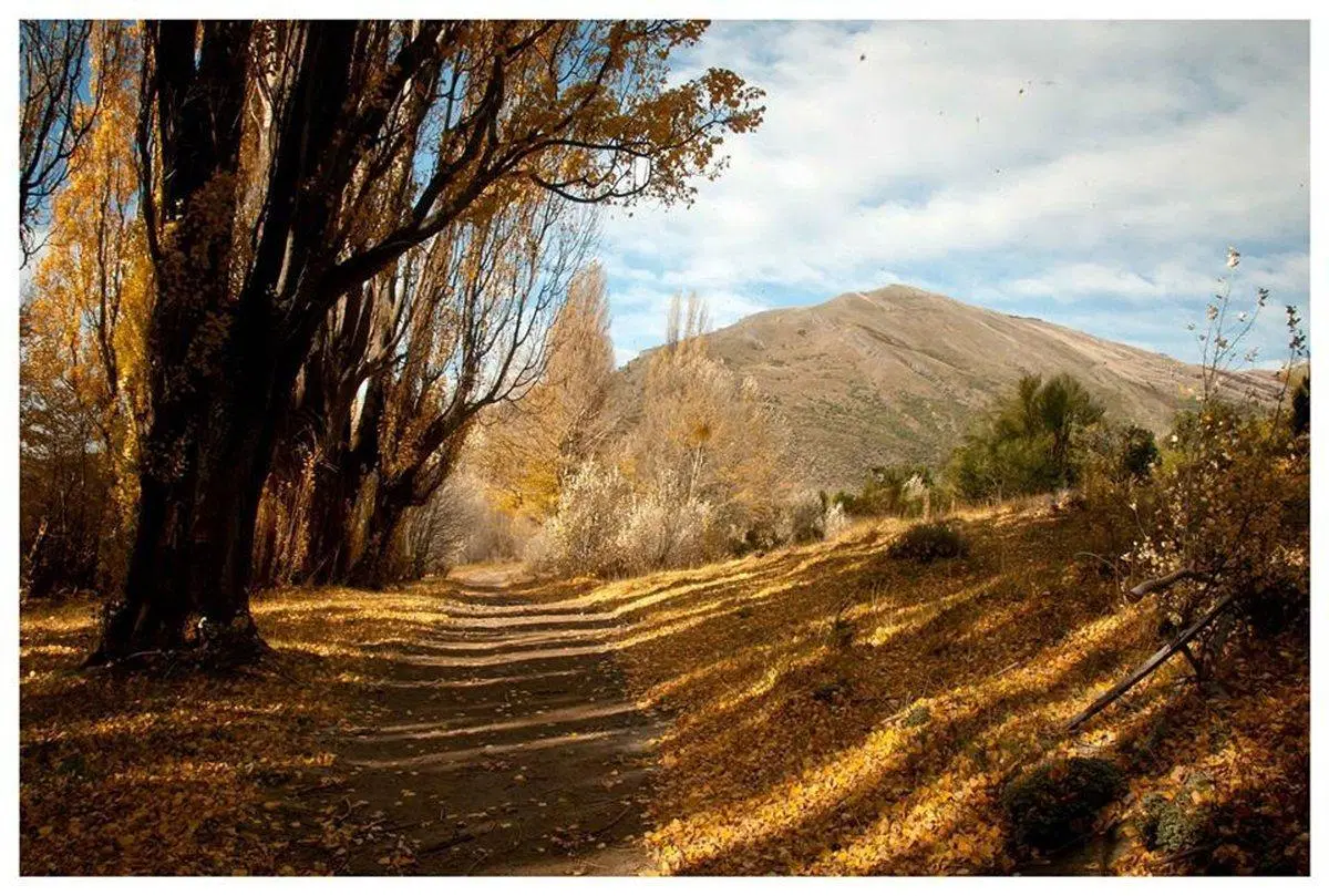 TERRENO EN DOS VALLES - FINANCIADO 5