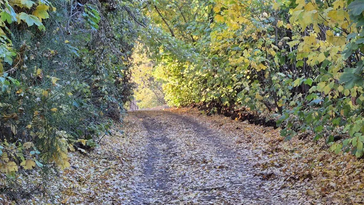 Alquiler - Monoambiente en Península de San Pedro 8