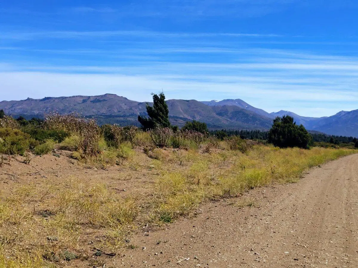 LOTE  1000mts APTO PH . Con FINANCIACION Y/O PERMU 3
