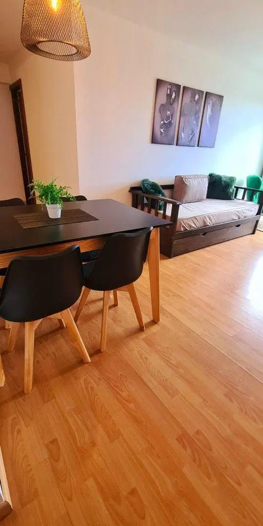 HERMOSO DEPARTAMENTO. ALQUILER TEMPORAL 2