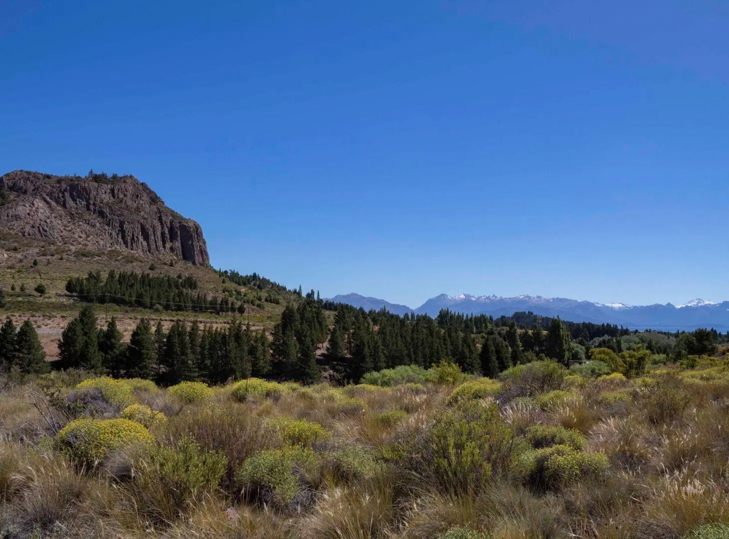 Lote 5.000mts con acceso a costa de arroyo 5