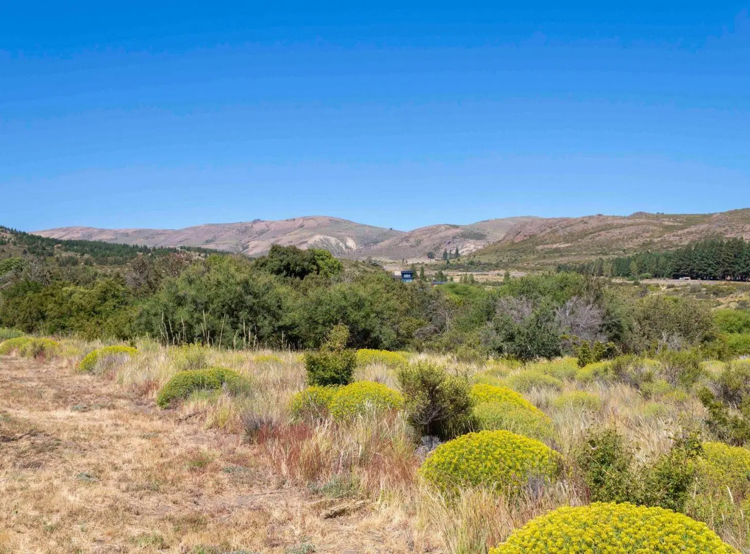 Lote 5.000mts con acceso a costa de arroyo 2
