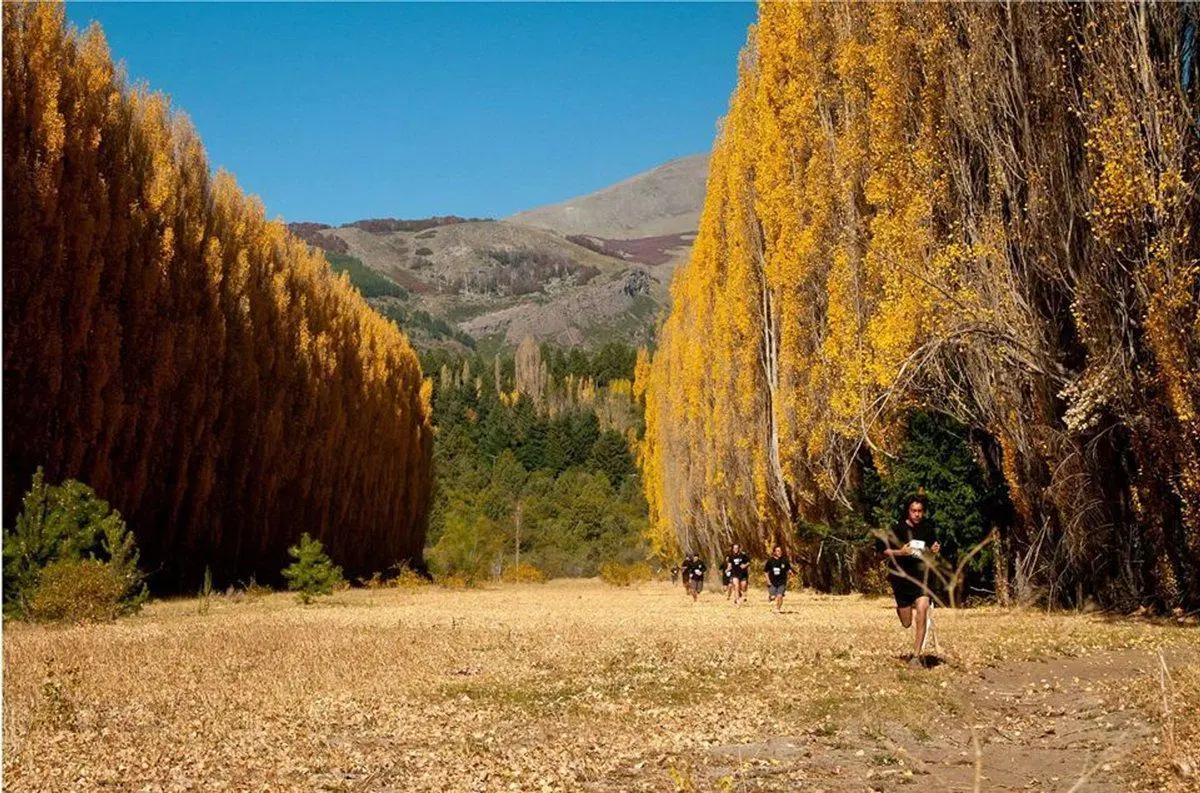 VENTA LOTE CLUB DE CAMPO DOS VALLES BARILOCHE 3