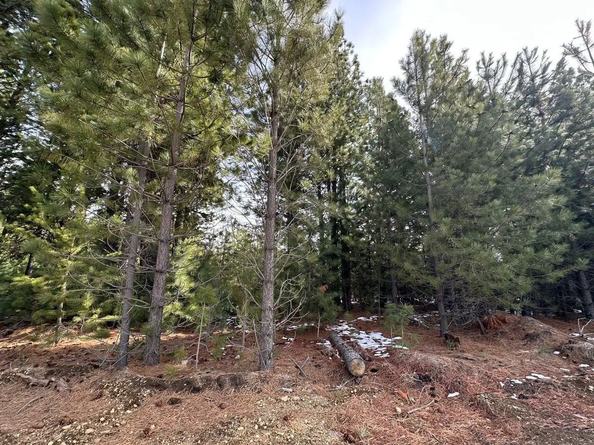 VENTA LOTE DOS VALLES FONDO VERDE BARILOCHE 5